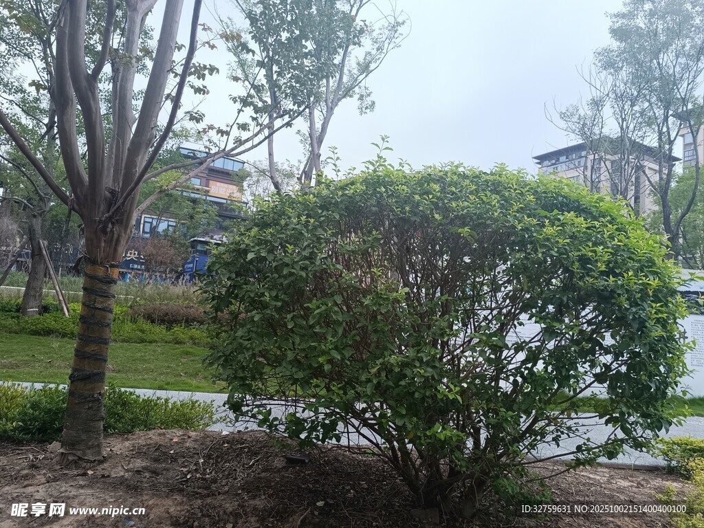 園林綠植景觀