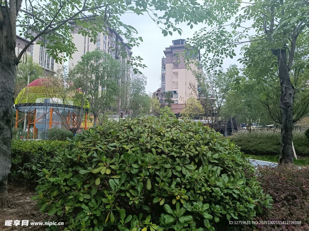城市公園中的綠植與景觀