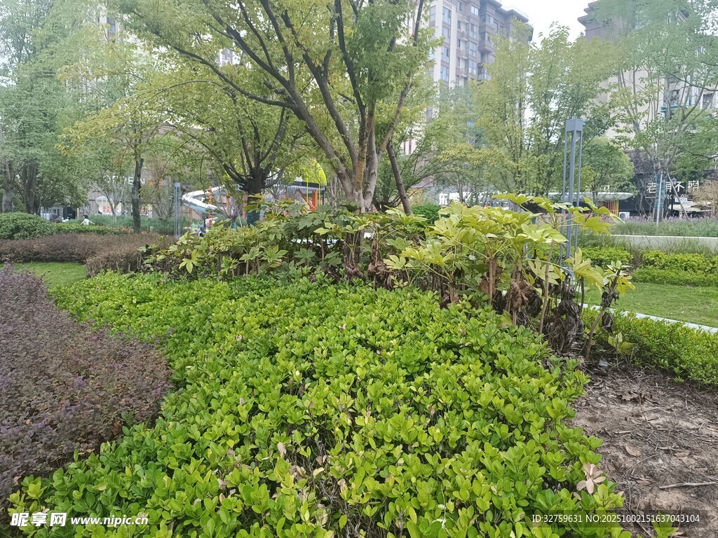 綠意盎然的城市花園景觀