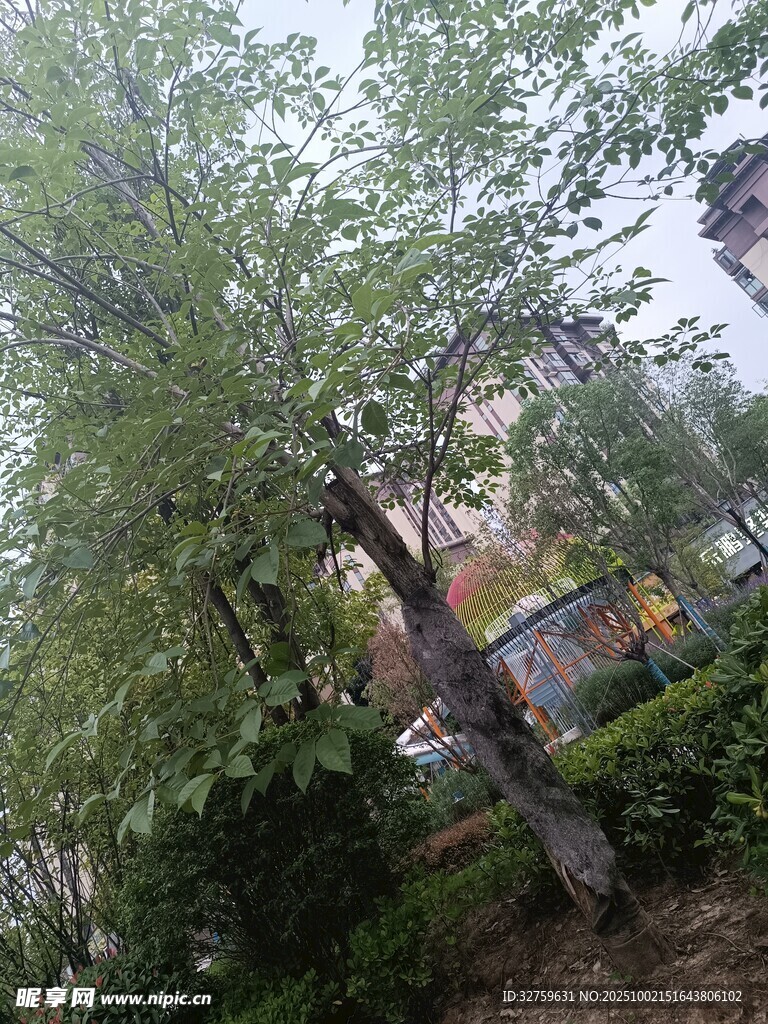 綠樹環(huán)繞的戶外景致