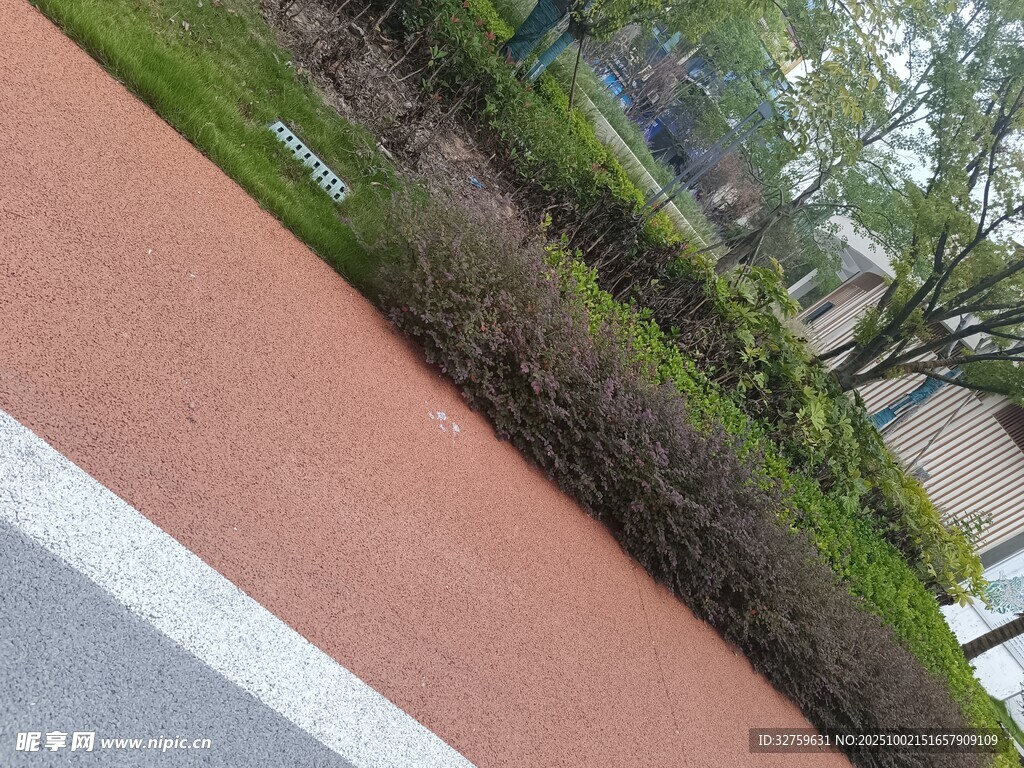 路邊綠化帶景觀一角