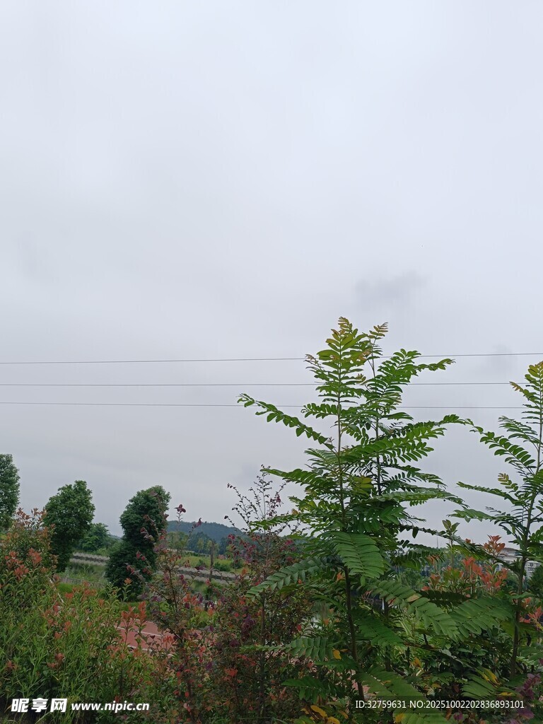 山間綠植景觀