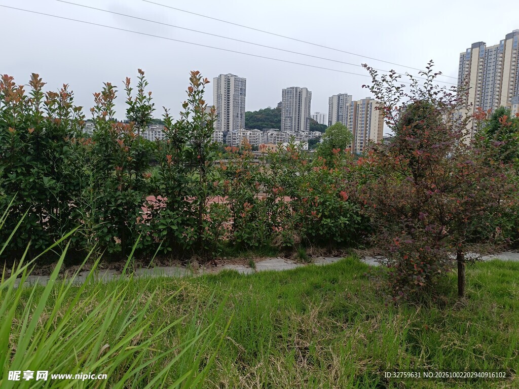 城郊綠植與高樓景觀
