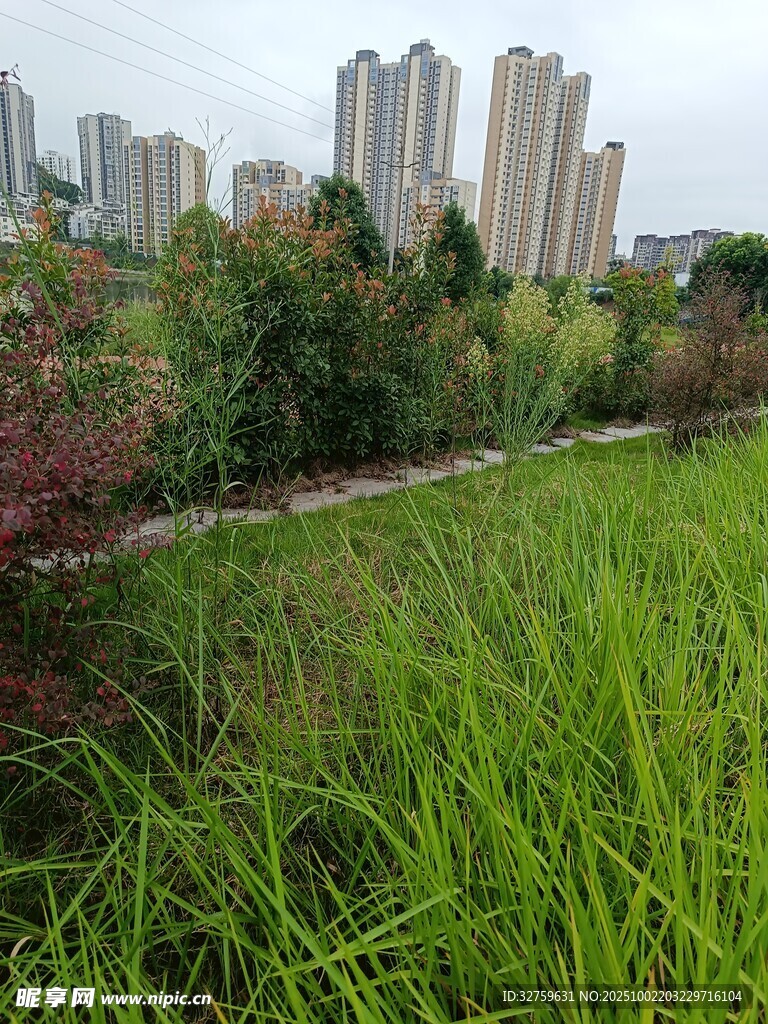 城市邊的翠綠草地景觀
