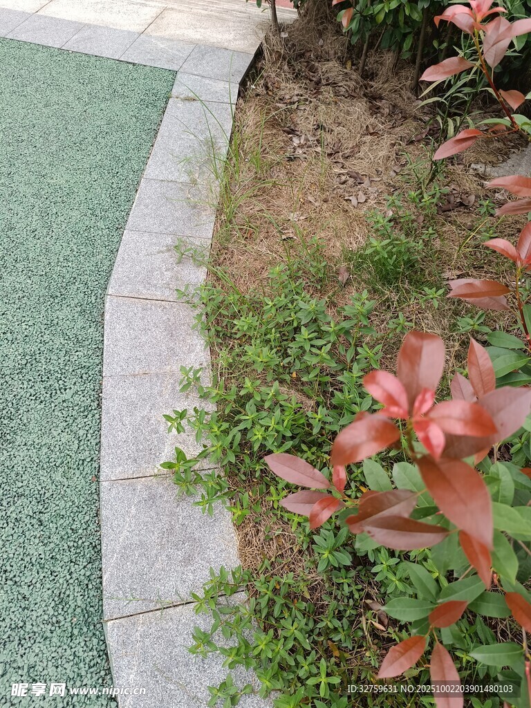 彩色步道旁的鮮艷植物