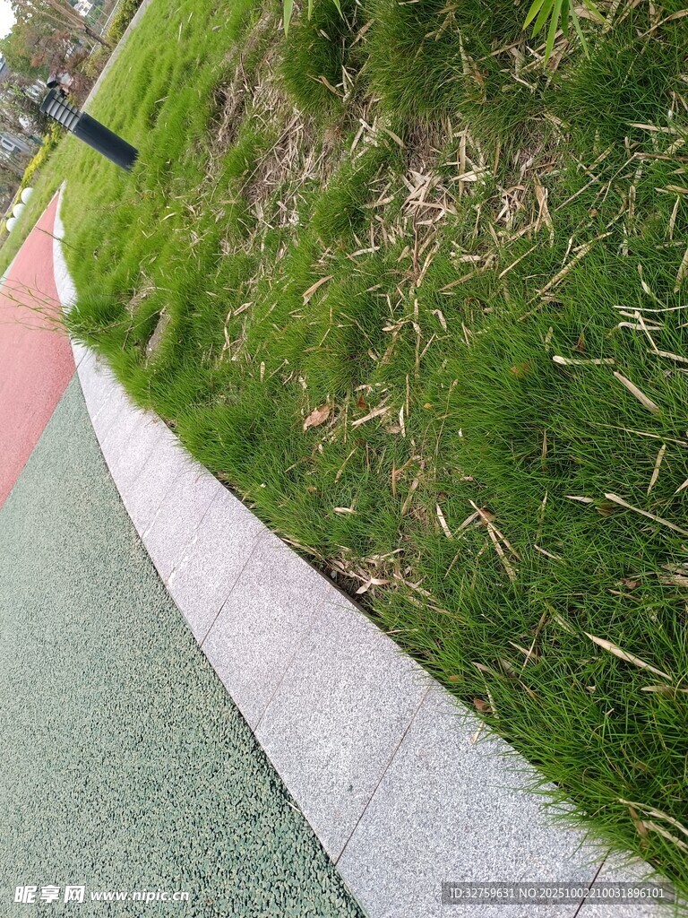 彩色步道旁的翠綠草地