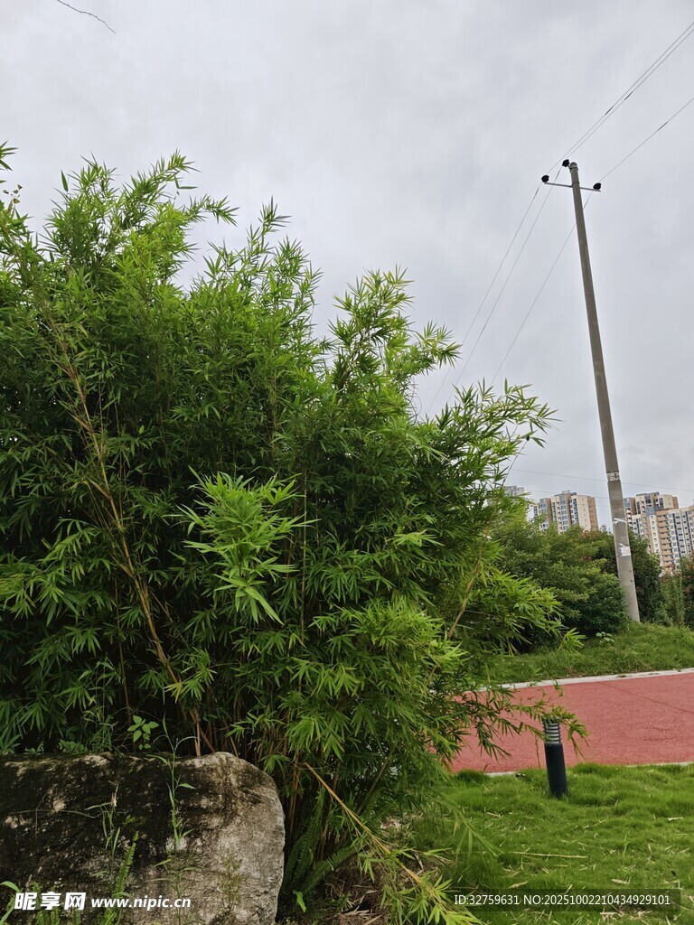 戶外綠植與遠(yuǎn)處設(shè)施景觀