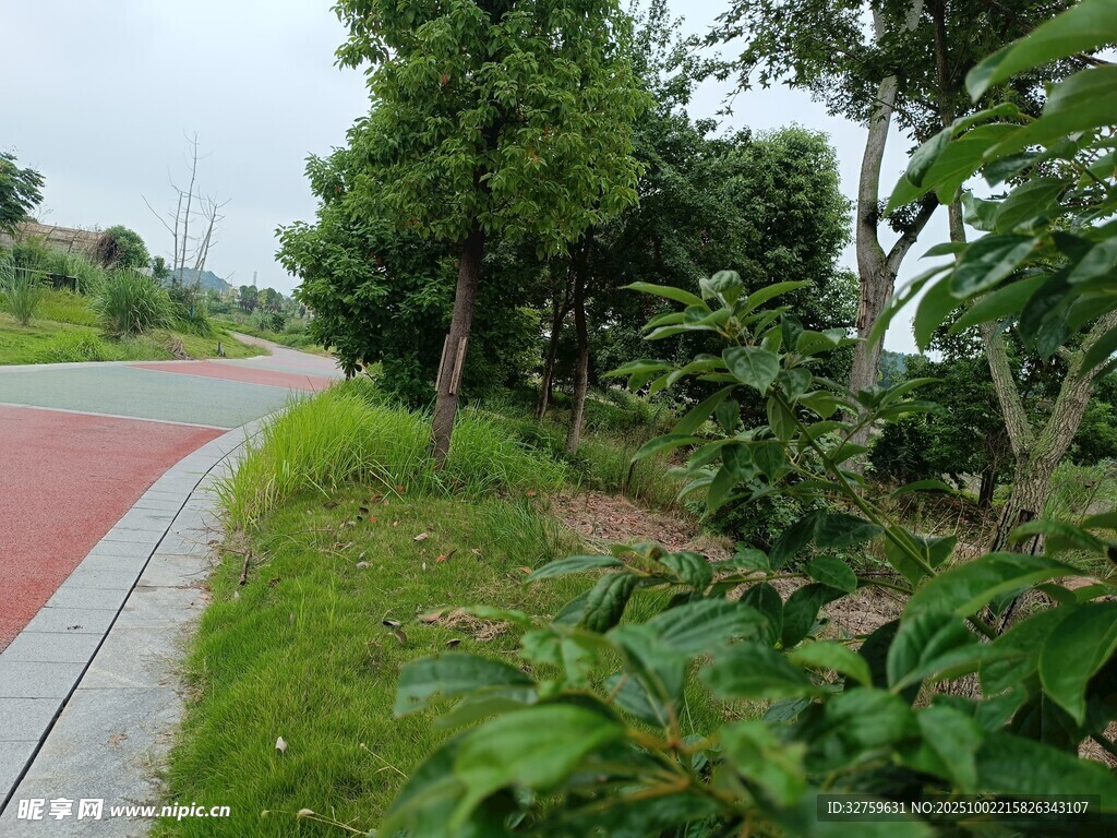 城郊綠植環(huán)繞的多彩步道