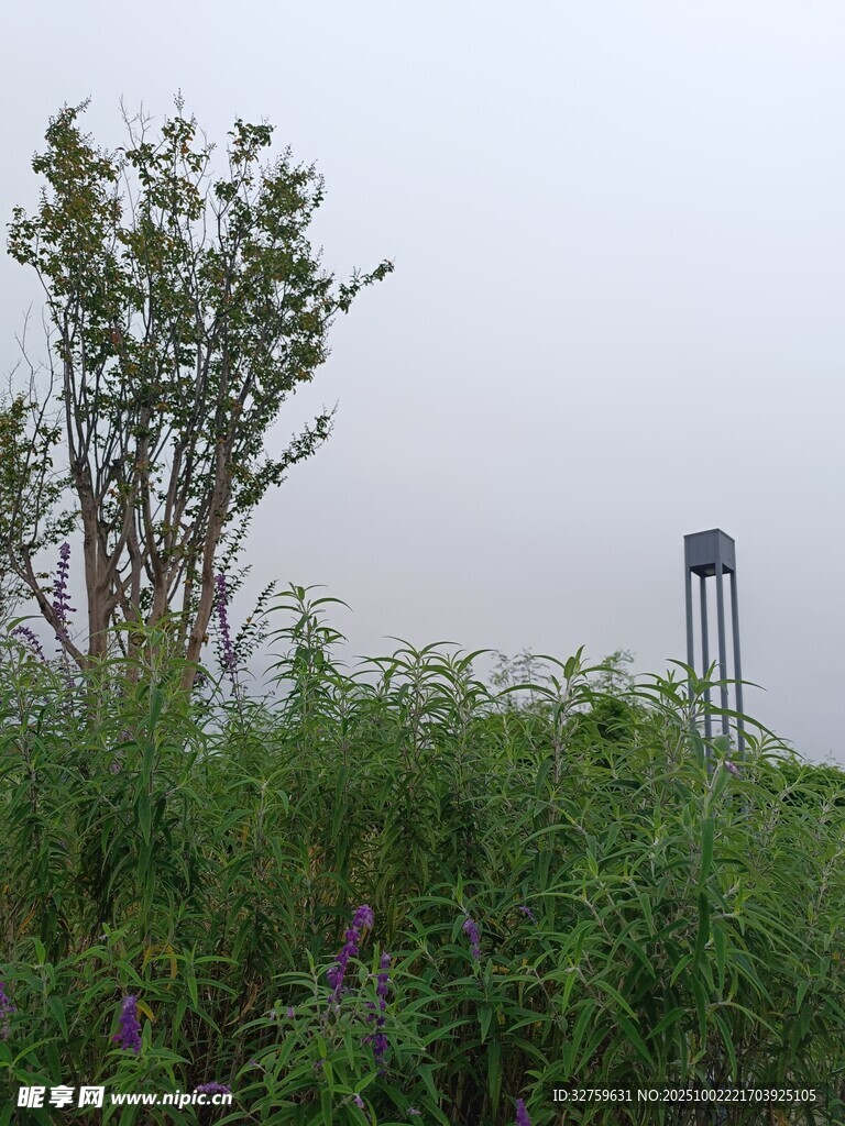 戶外綠植與遠處設備景觀