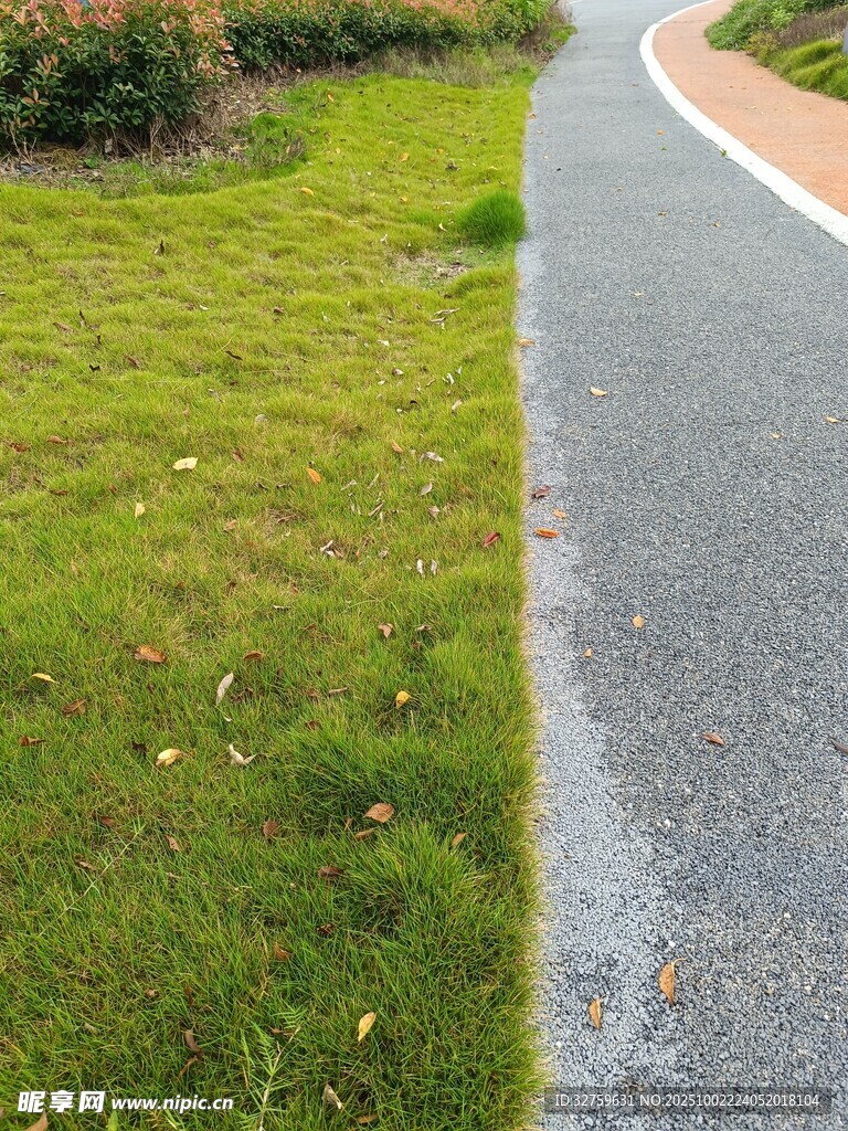 路邊翠綠草坪