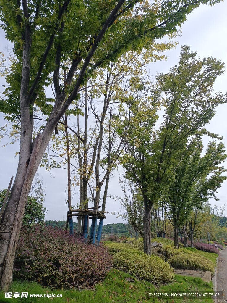 湖畔綠樹(shù)成蔭的優(yōu)美景致