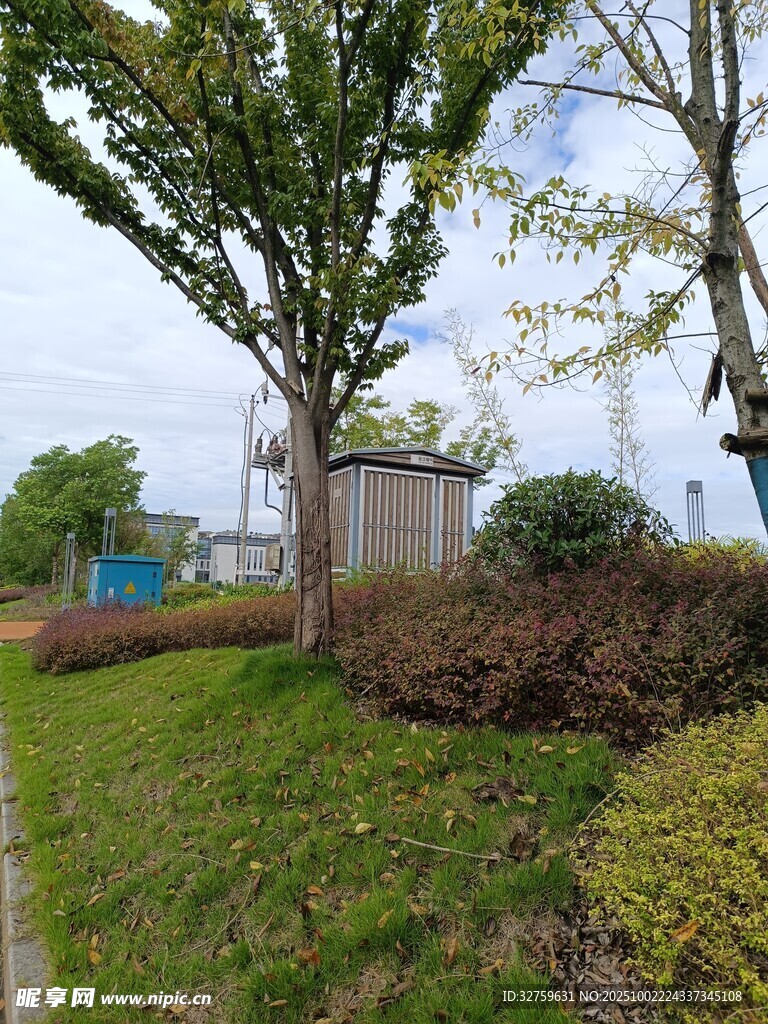 戶外綠植旁的小屋景觀