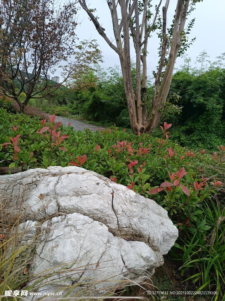 園林景觀中的巨石與花卉
