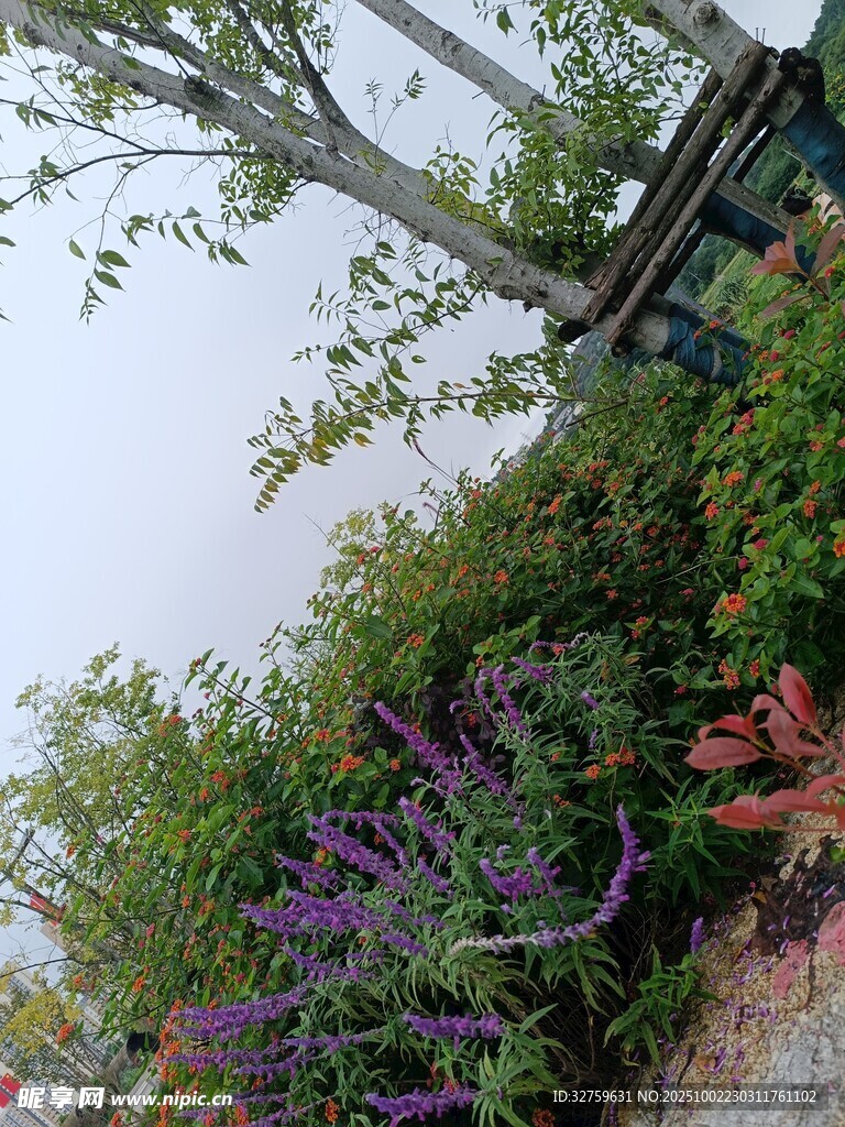 墻邊綠植與古樸建筑一角