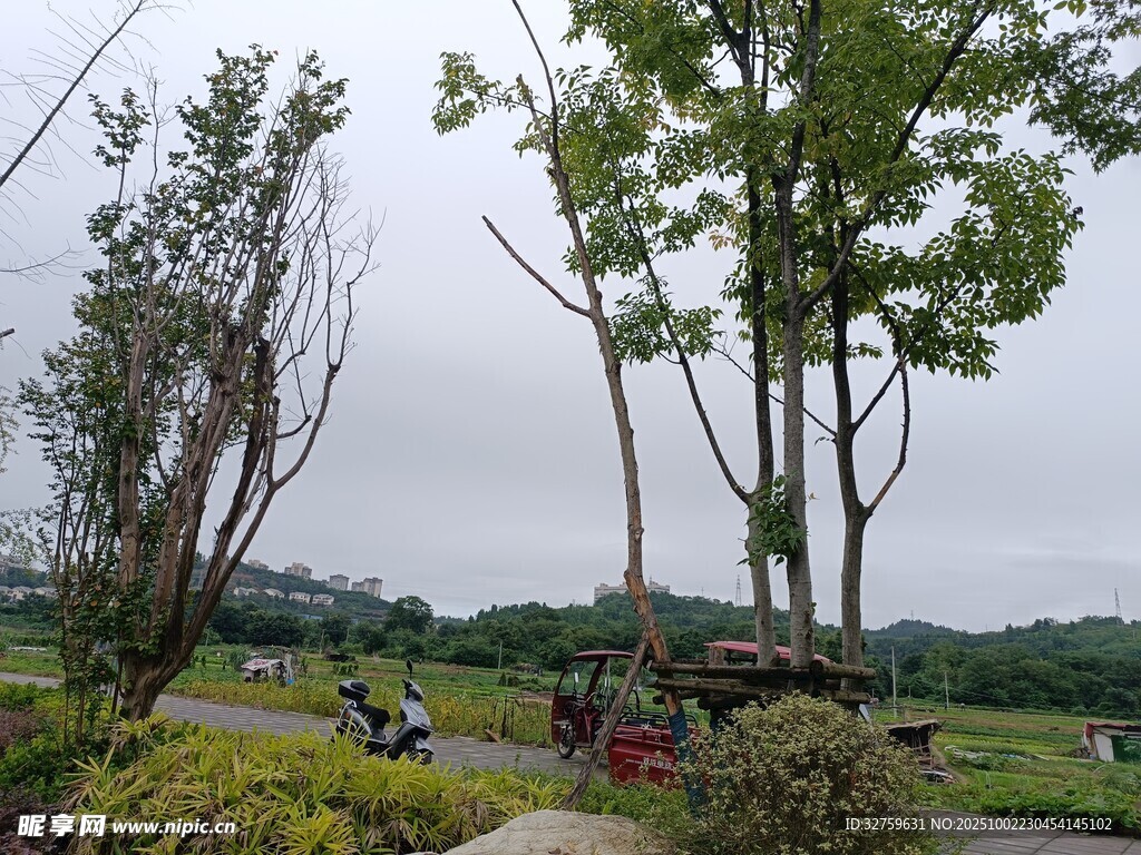 戶外綠意盎然的休閑場(chǎng)景