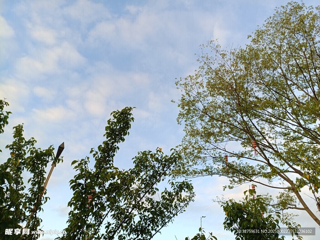 藍(lán)天綠樹(shù)自然美景
