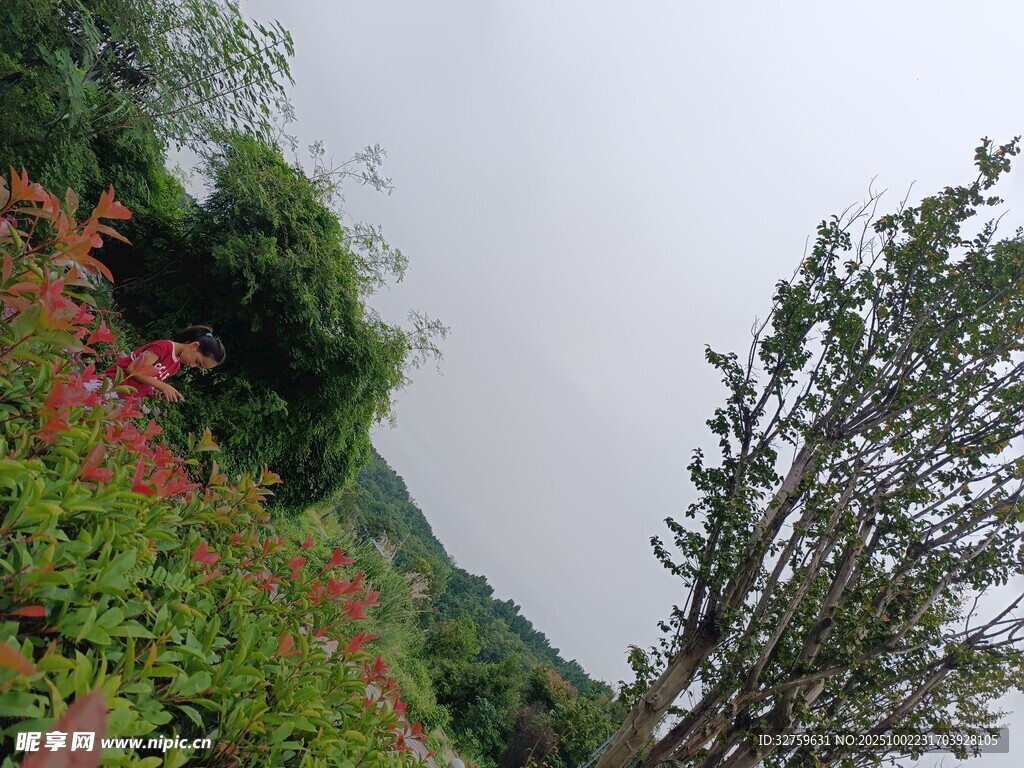 山間多彩植被景觀
