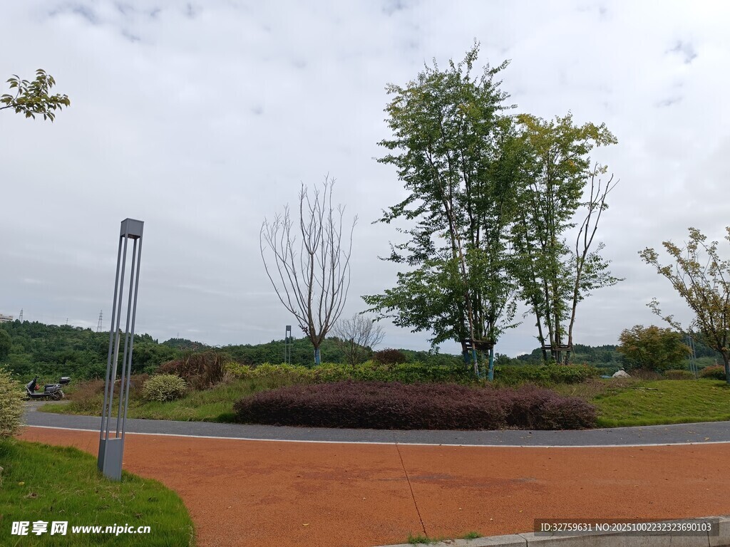 公園中的綠植與蜿蜒小路
