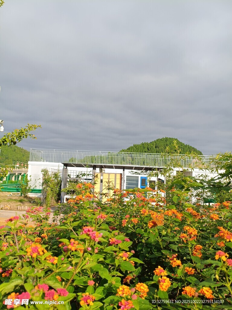 花園中的多彩建筑景觀