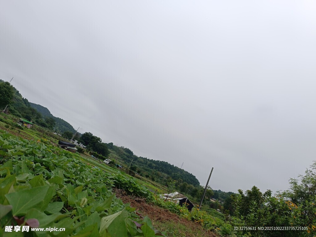 山間綠野田園景致