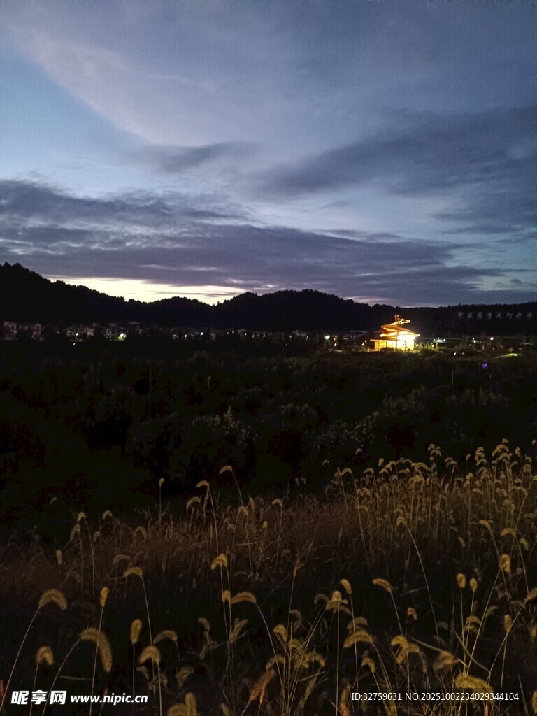 夜幕下的田野與遠處燈火