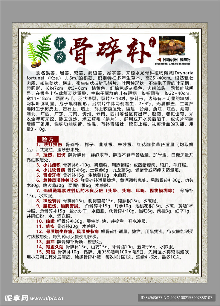 骨碎樸