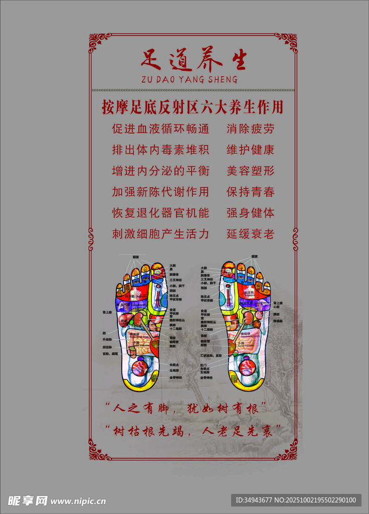 傳統(tǒng)足療展示