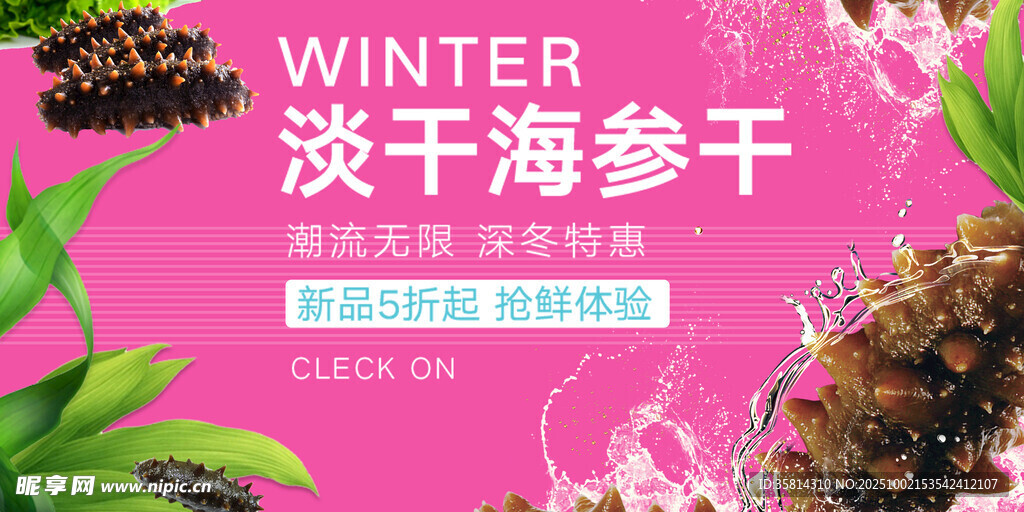 淡干海參干 冬季滋補(bǔ)之選