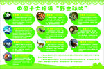中國十大珍稀動物介紹
