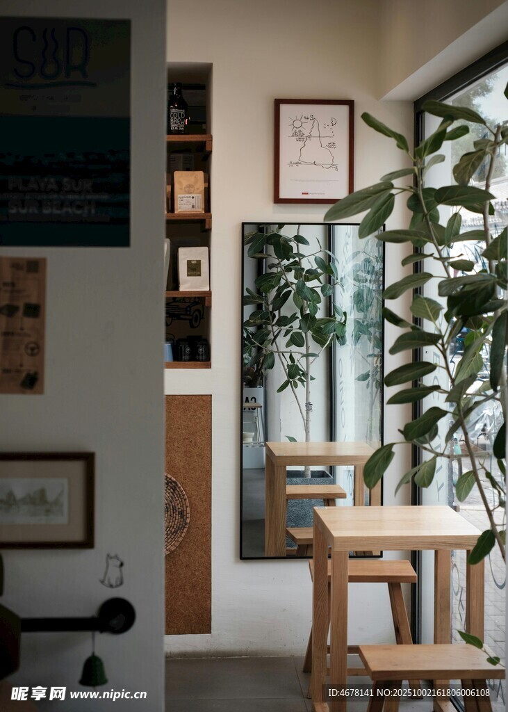 簡約室內(nèi)綠植裝飾空間