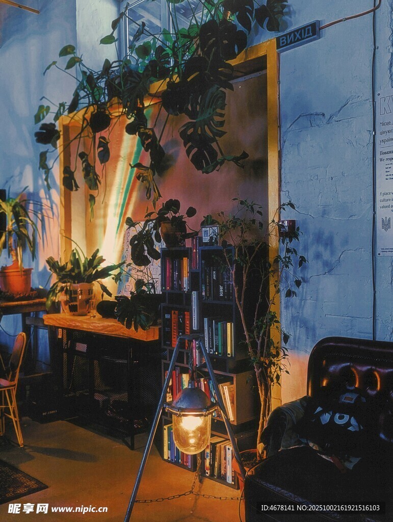 溫馨室內(nèi)角落綠植裝飾場景
