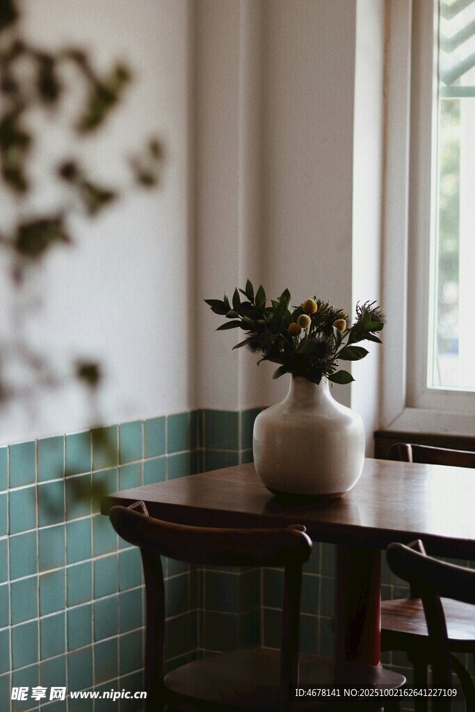 清新室內(nèi)綠植桌椅場景