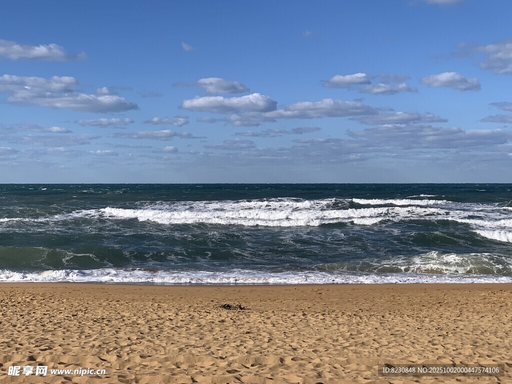 海邊沙灘與翻涌海浪景色