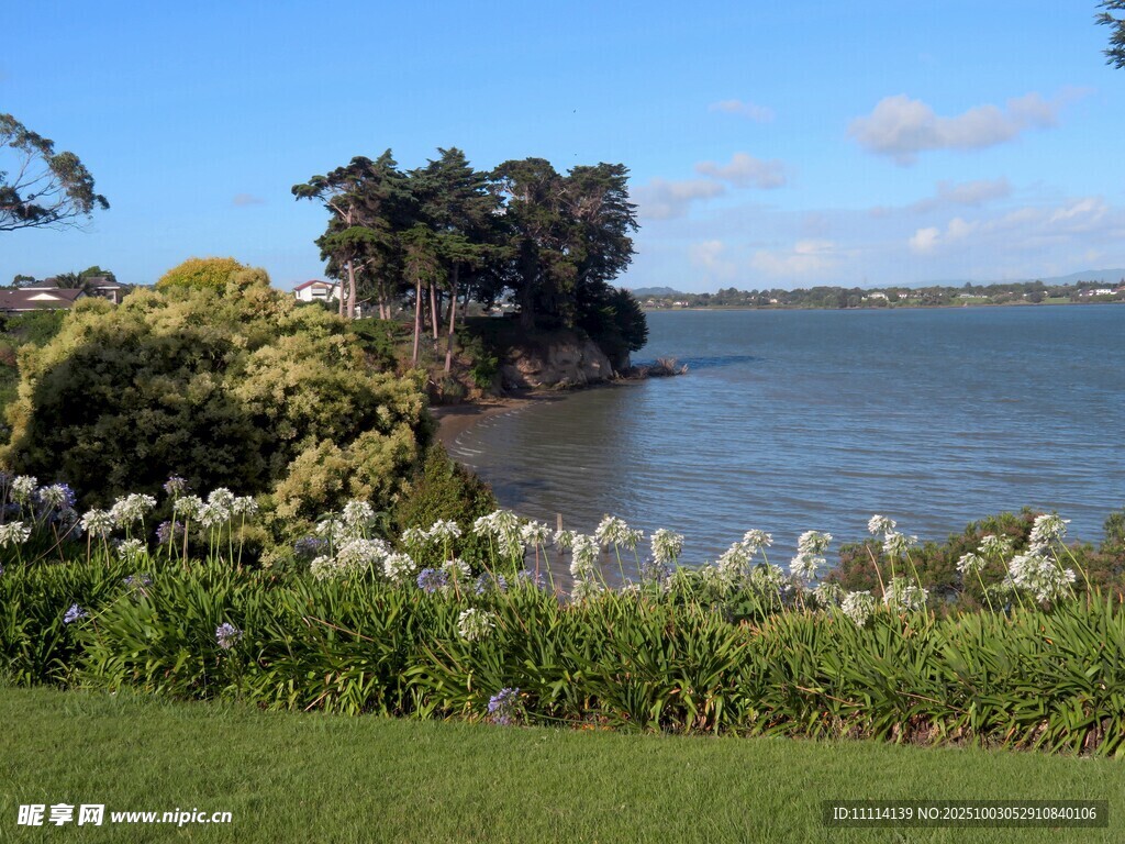 奧克蘭海邊風(fēng)景