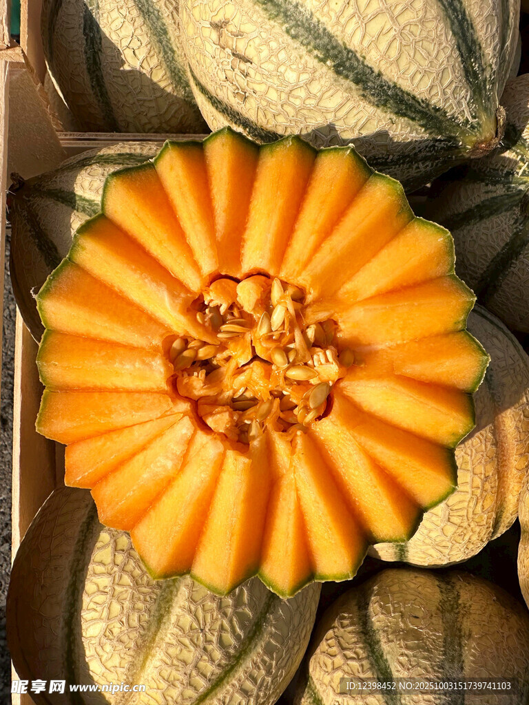 綻放的南瓜花與南瓜果實(shí)