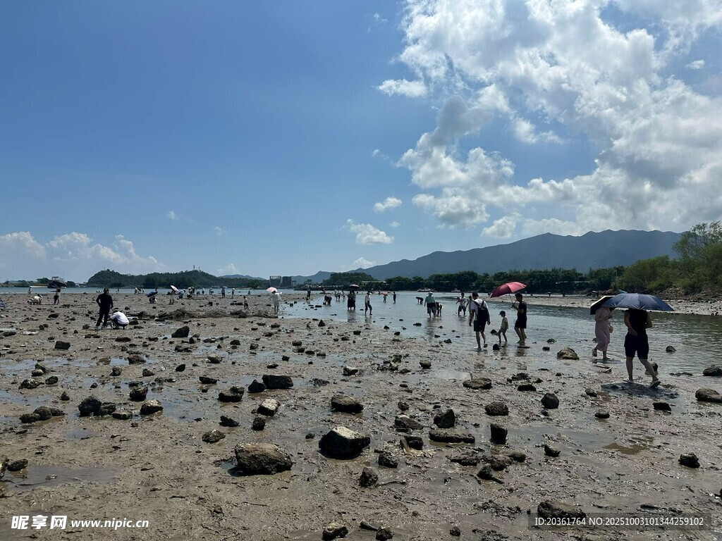 海灘上的人群與礁石景觀