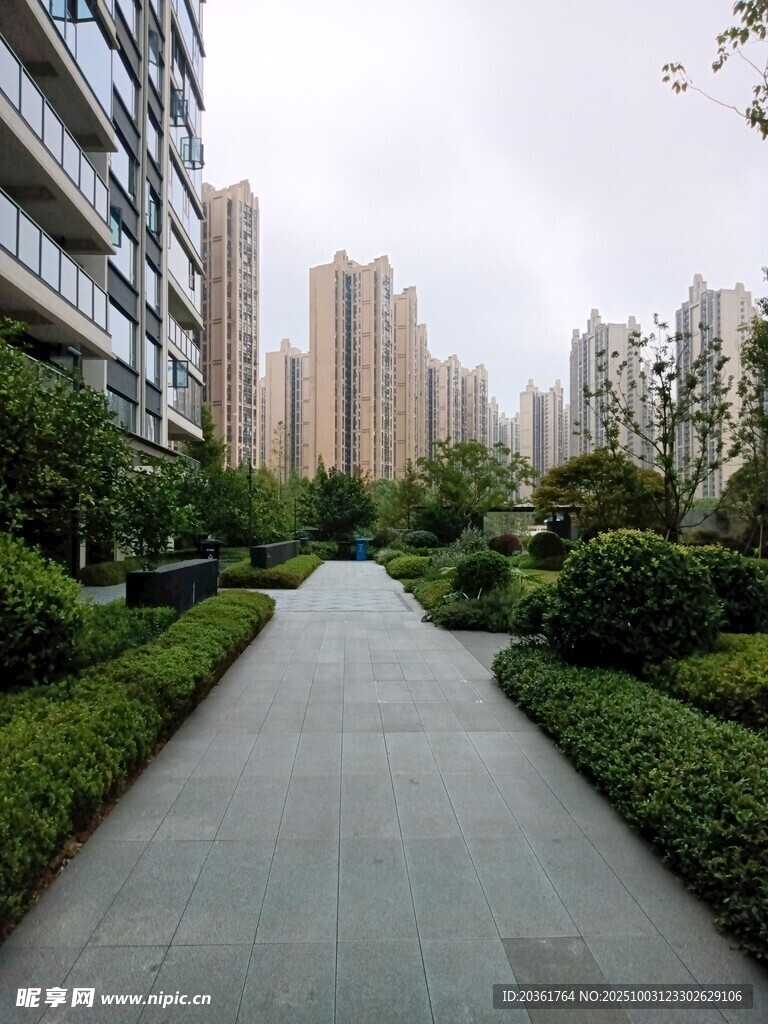 小區(qū)內(nèi)的靜謐林蔭步道
