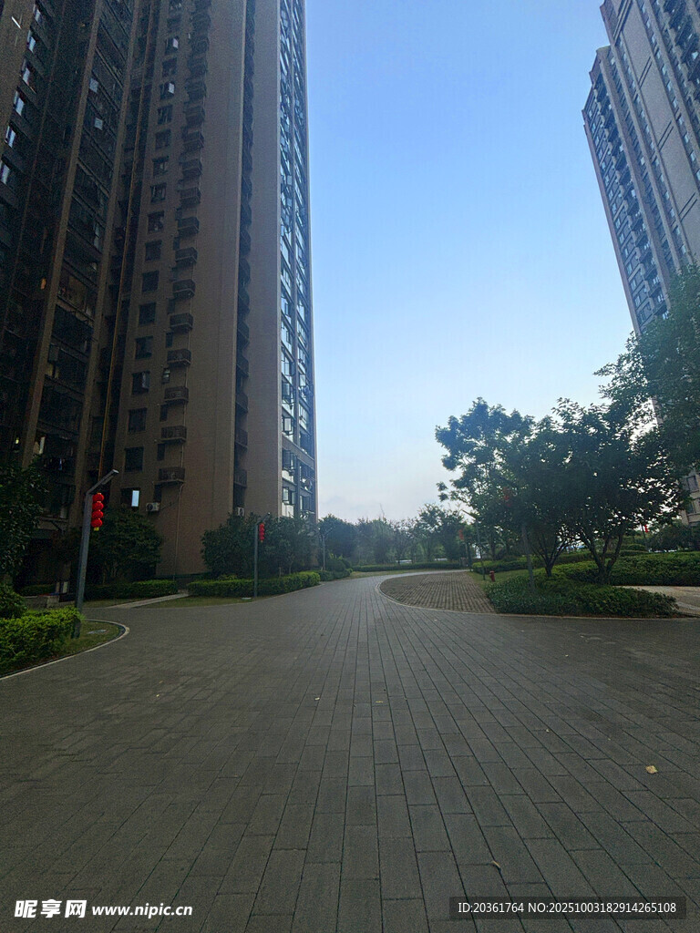 寬闊道路旁的高樓景觀