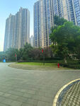 城市中開闊的樓前廣場景觀
