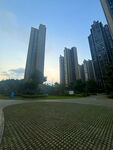 城市綠地旁的高樓景觀