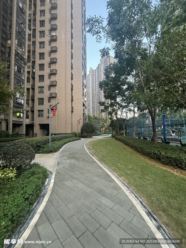 小區(qū)內(nèi)的靜謐林蔭步道