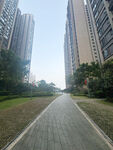 城市中寬闊的林蔭步道