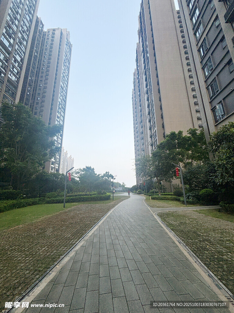 城市中寬闊的林蔭步道