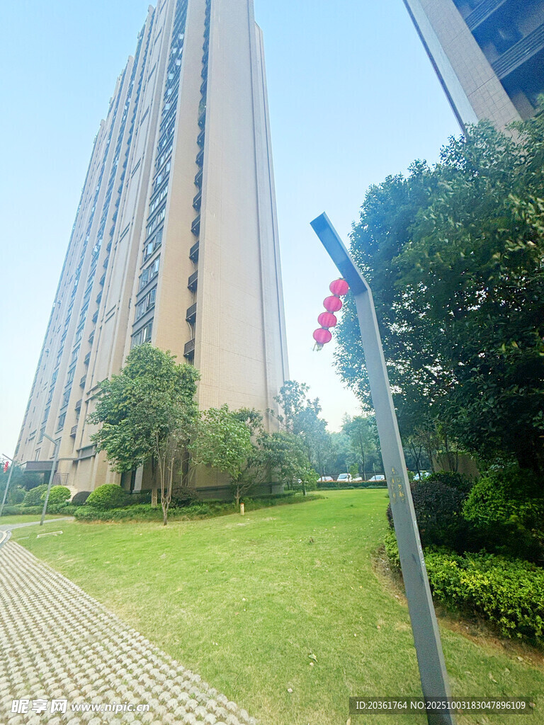 城市高樓旁的綠植與指示牌