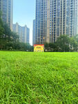 城市中的翠綠草坪景觀