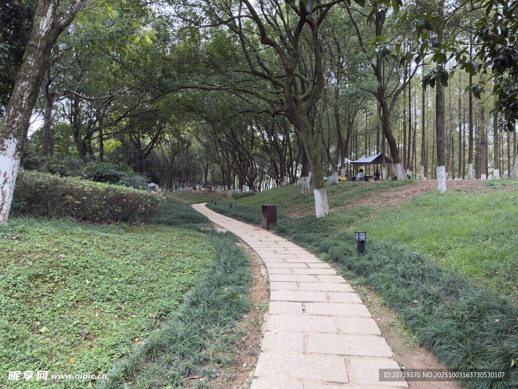 美麗洲公園