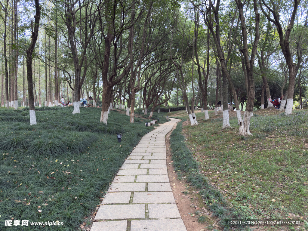 美麗洲公園