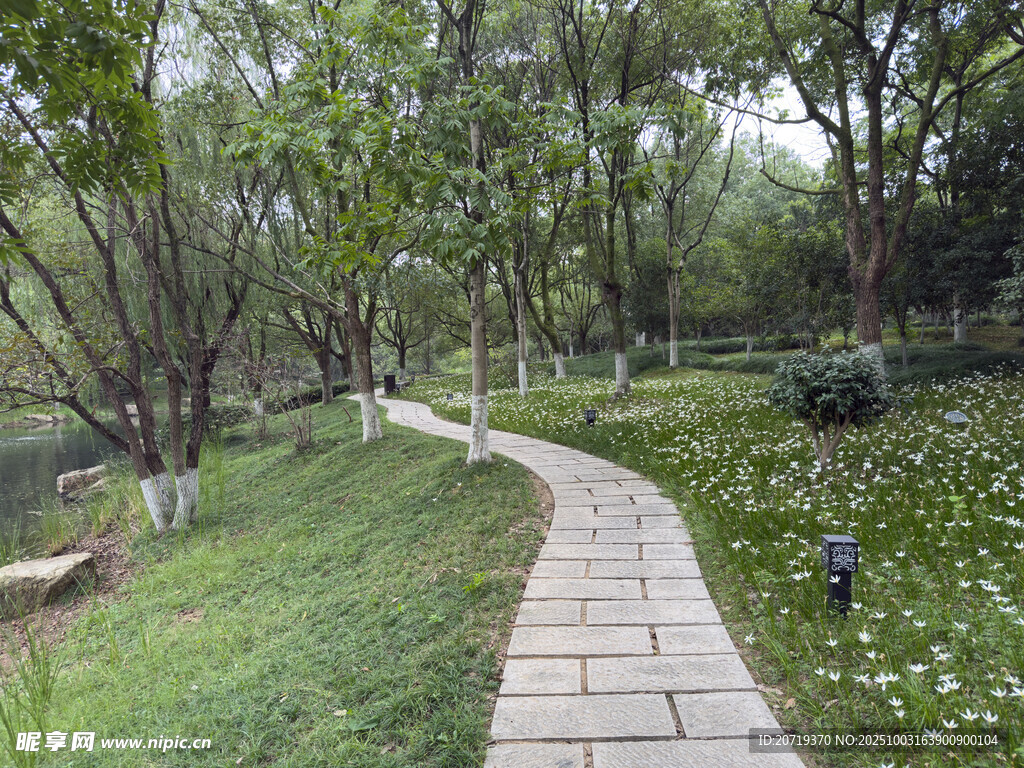 美麗洲公園