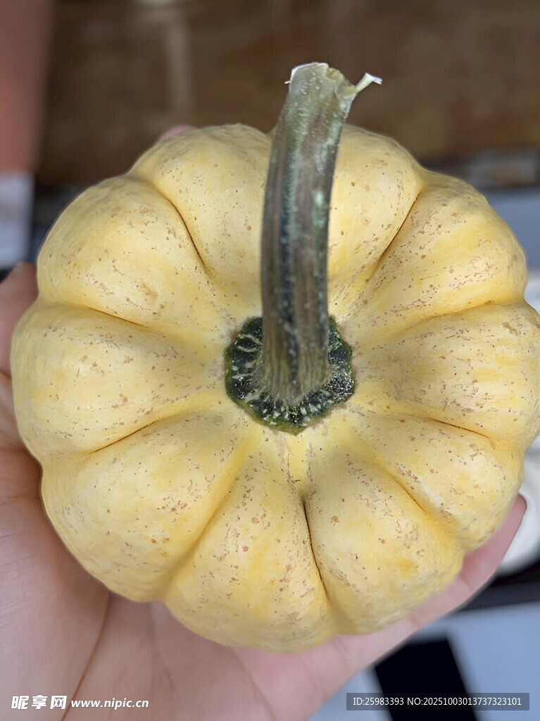 南瓜