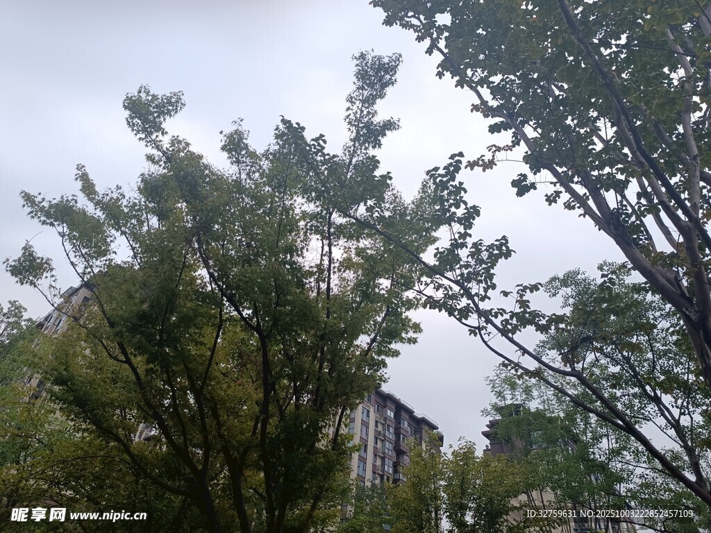 綠樹掩映中的建筑物